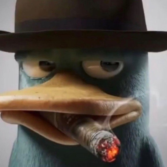 Meet your Posher, Niko - Picture 5 of 5